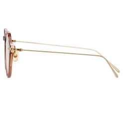 The LINEAR Optical Collection Linda Farrow Linear Wren A C5 Angular Optical Frame