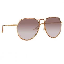 Women's Matthew Williamson Holly Aviator Sunglasses In Rose Gold Tone